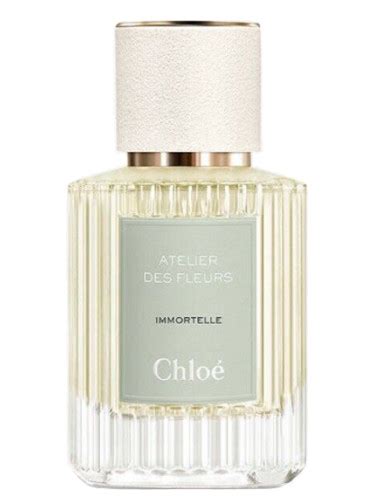 chloe parfum für männer|chloe perfumes official.